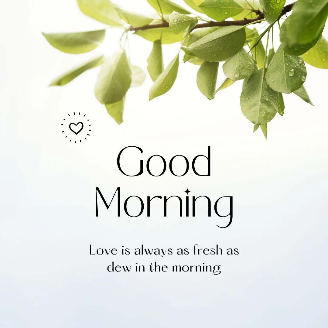 80+ Good morning images free to download 25